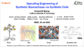 Thumbnail for version as of 13:07, 25 June 2024