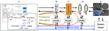 Breadboards-process.png