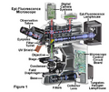 Thumbnail for version as of 21:32, 28 February 2011