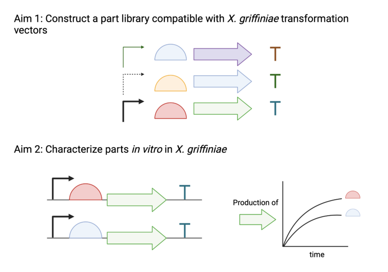 File:SURF2024 Fig2.png