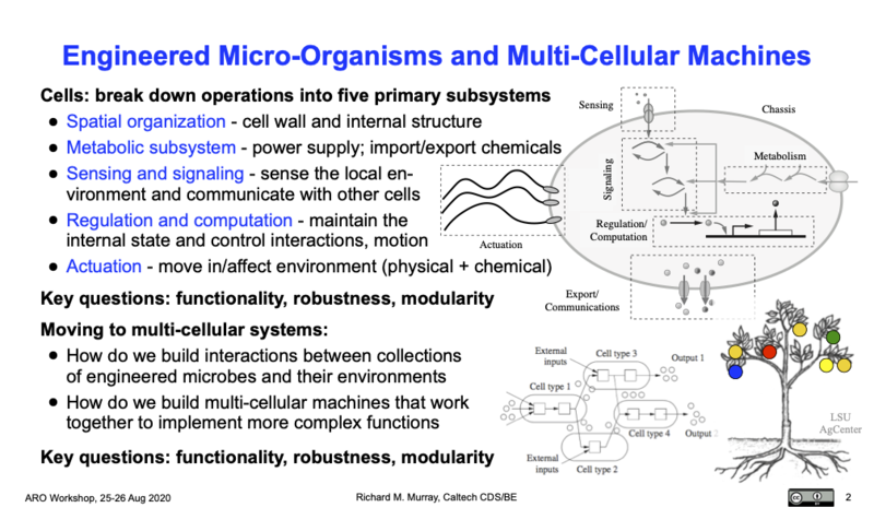 File:Biocircuits-overview-23Aug2021.png