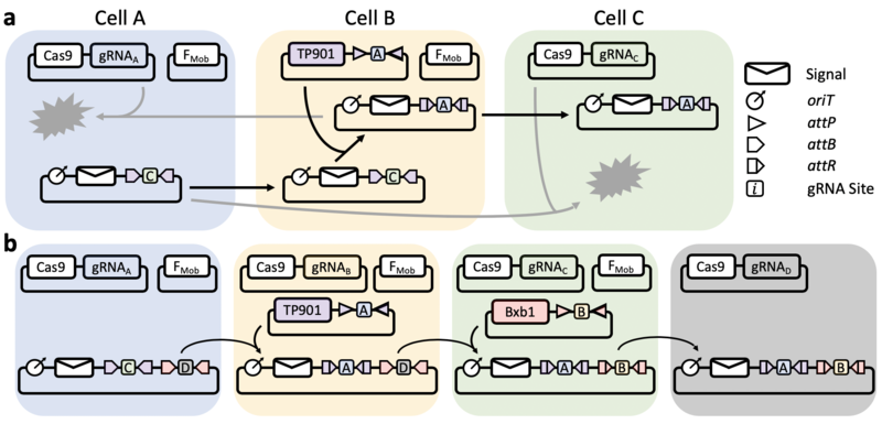 File:Message Routing Schematic.png
